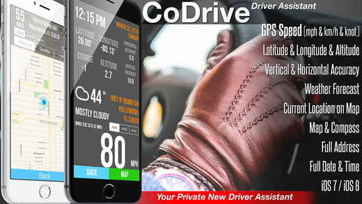 CoDrive - Driver Assistant