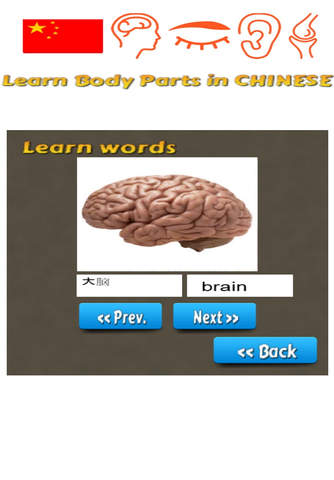 Learn Body Parts in Chinese screenshot 3
