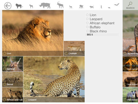 免費下載旅遊APP|MY SAFARI - Kruger National Park South Africa - Field guide & Map app開箱文|APP開箱王
