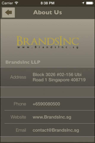 BrandsInc LLP screenshot 2