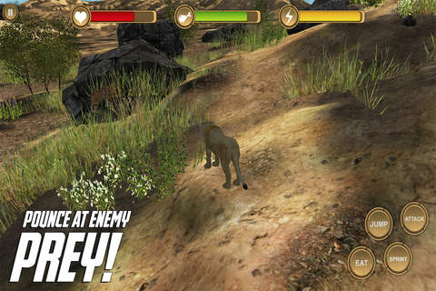 Lioness Simulator HD Animal Life screenshot 4