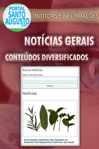 SantoAugusto.net - Notícias, Negócios, Sites e Guia Comercial de Santo Augusto screenshot 2