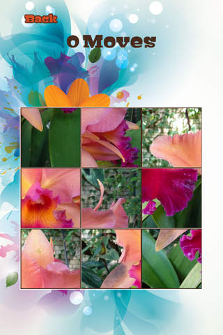 Orchid Flowers: Puzzle games for everyone screenshot 2