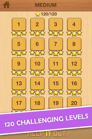 Help It Out - Free Challenging Unblock Puzzle Game screenshot 4
