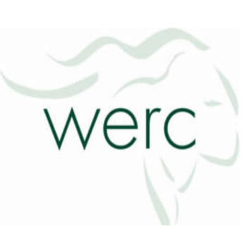 WERC LOGO-APP點子