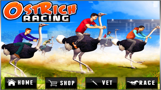 Ostrich Racing Simulator