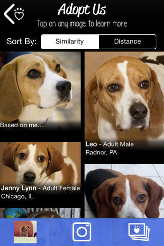 LikeThat Pets - Adopt & Find a Pet screenshot 2