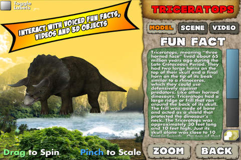 PlayAR Dinosaurs 4D screenshot 3