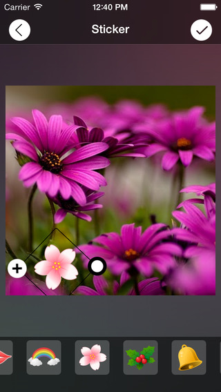 【免費攝影App】Photo Wizard Pro-APP點子