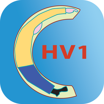 HocVan1 LOGO-APP點子