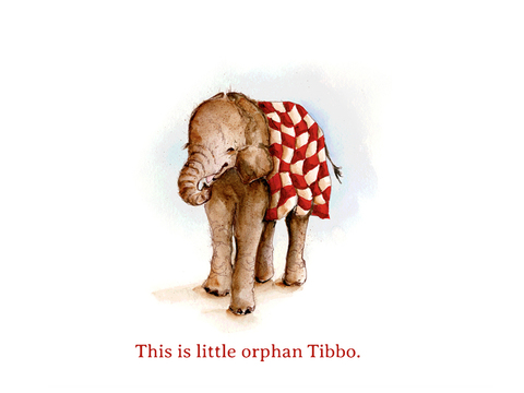 Tibbo's Trunk