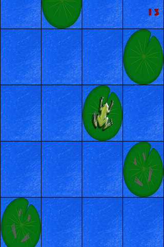 Hoppy Froggy Jump Pro- Don't Step On The Water screenshot 2