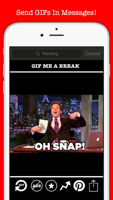iPhone Screenshot 2