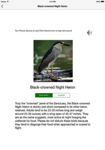 Stone Harbor Bird Sanctuary screenshot 3