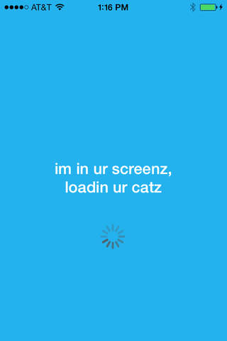 SnapCat - Mobile Cat Sharing screenshot 2