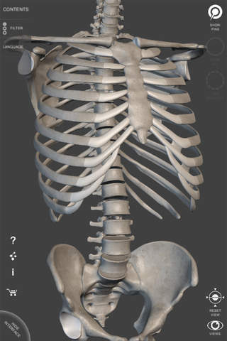 Skeletal System - 3D Atlas of Anatomy - Bones of the human skeleton screenshot 2