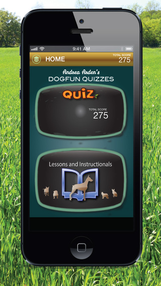 DogFun Quizzes