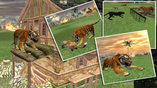 Angry Tiger Attack Simulator 3D
