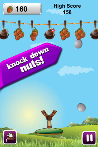 Go Nuts Pro - Fun Squirrel Shooting Game screenshot 3