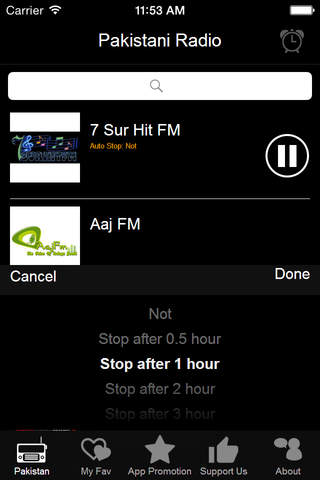 Pakistani Radio screenshot 2