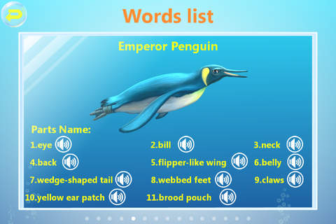 Amazing Ocean Animals- Educational Learning Apps for Kids Free! screenshot 4