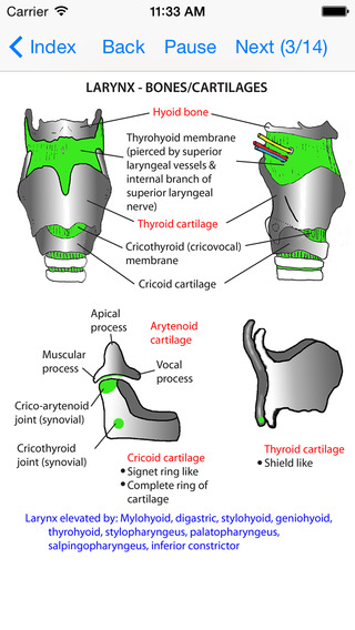 【免費醫療App】Anatomy Lectures Head and Neck-APP點子