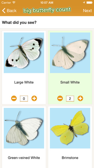 免費下載教育APP|Big Butterfly Count app開箱文|APP開箱王