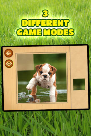 Cute Dogs & Puppies Puzzles - Logic Game for Toddlers, Preschool Kids, Little Boys and Girls: vol.2 screenshot 3