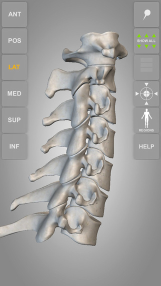 【免費醫療App】Skeletal System 3D Atlas of Anatomy-APP點子