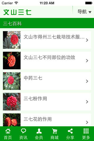 文山三七 screenshot 3