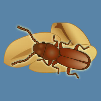 Insects in Stored Grain 工具 App LOGO-APP開箱王