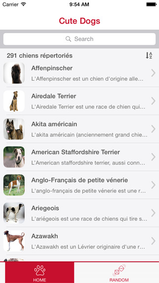 免費下載攝影APP|Cute dogs – List of Dog Breeds app開箱文|APP開箱王