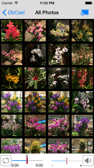 【免費攝影App】DbCast for Chromecast & Apple TV airplay-APP點子