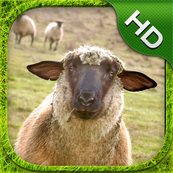 Sheep Simulator - HD LOGO-APP點子