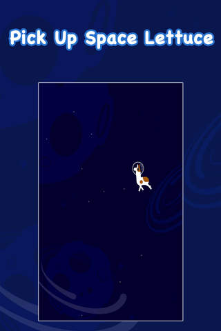 Astro Alpaca screenshot 2