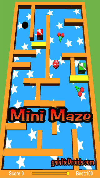 Mini Maze Pro