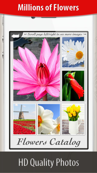 Beautiful Flowers for iOS 8
