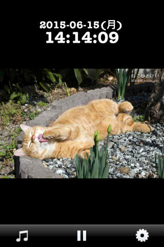 岩合光昭のねこのとけい～猫好きに贈るカワイイ猫写真満載の時計アプリ screenshot 4