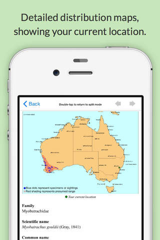 Frogs of Australia - Lite screenshot 2