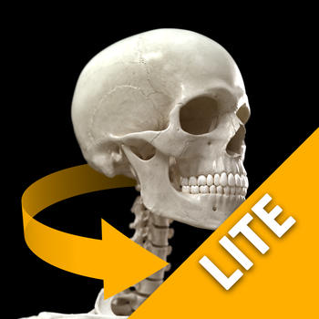 Skeletal System 3D Atlas of Anatomy Lite LOGO-APP點子