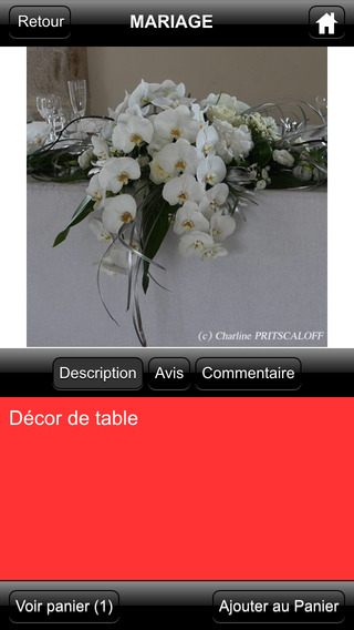 【免費工具App】Charline Pritscaloff-APP點子