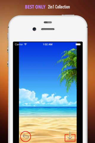 Beach Sounds Ringtones and Wallpapers: Theme your Phone to Bring Back that Good Summer Memory screenshot 4