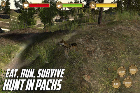 Gray Wolf Simulator HD Animal Life screenshot 2