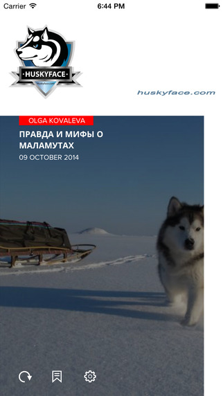 HuskyFace - Для владельцев северных ездовых собак
