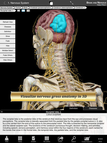 【免費醫療App】Brain and Nervous Anatomy Atlas: Essential Reference for Students and Healthcare Professionals-APP點子