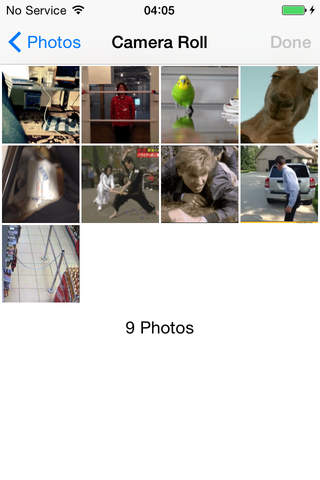 GIF POOL - GIF Viewer and Album. screenshot 4