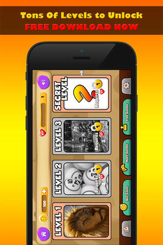 Bingo PRIME - Play Online Casino and the Game of Chance for FREE ! screenshot 2
