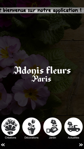 Adonis Fleurs Paris