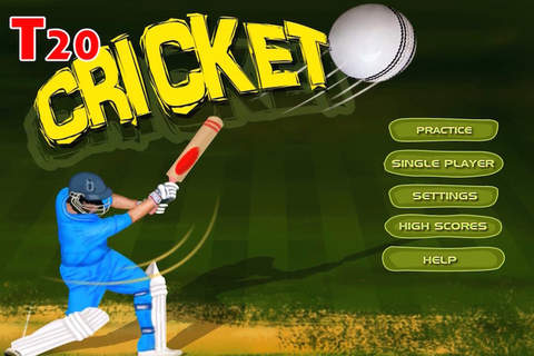 T20 Cricket Challenge screenshot 2