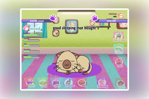 Kitty Championship screenshot 3